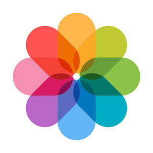 Como Recuperar Fotos Apagadas do Celular: métodos para Android e iOS - Recuperar Fotos Apagadas